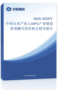 2025-2029Їδa(chn)I(y)֮AIPCa(chn)I(y)څAyͶYCо