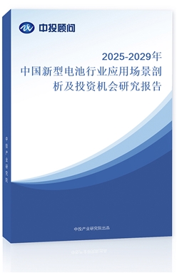 2025-2029Ї늳ИI(y)(yng)È(chng)ͶYC(j)(hu)о(bo)