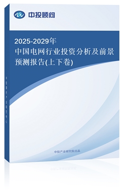 2025-2029Ї늾W(wng)ИI(y)ͶYǰA(y)y(¾)